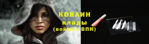 соль курить ск Белокуриха