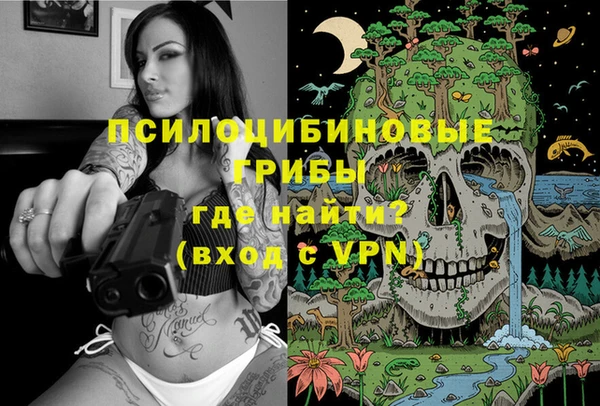 экстази Дмитров